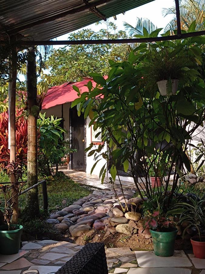 Posadamanduka Eco-Hostel Buenavista  Exterior foto